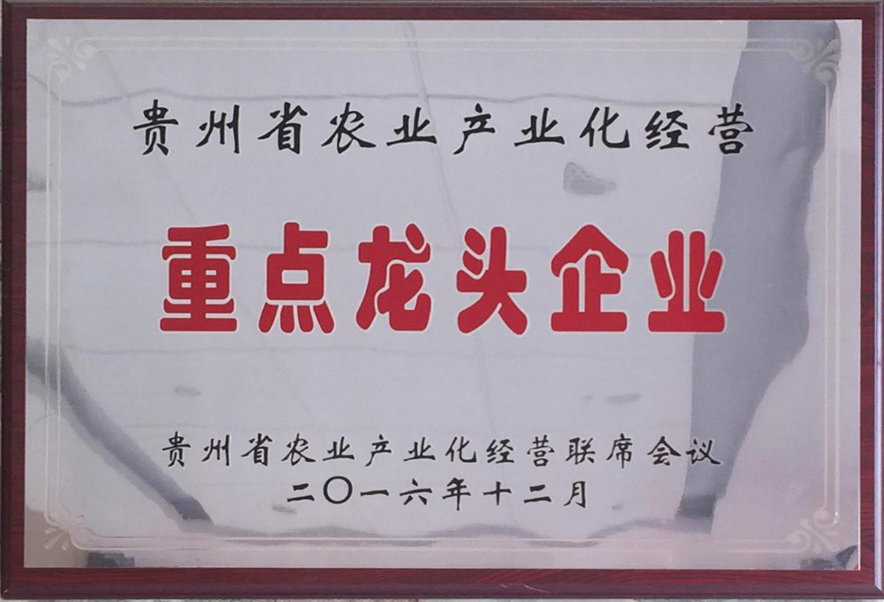 企业资质