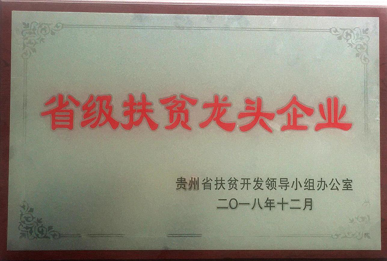 企业资质